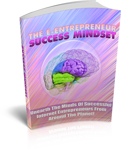 Netrepreneur Success Mindset